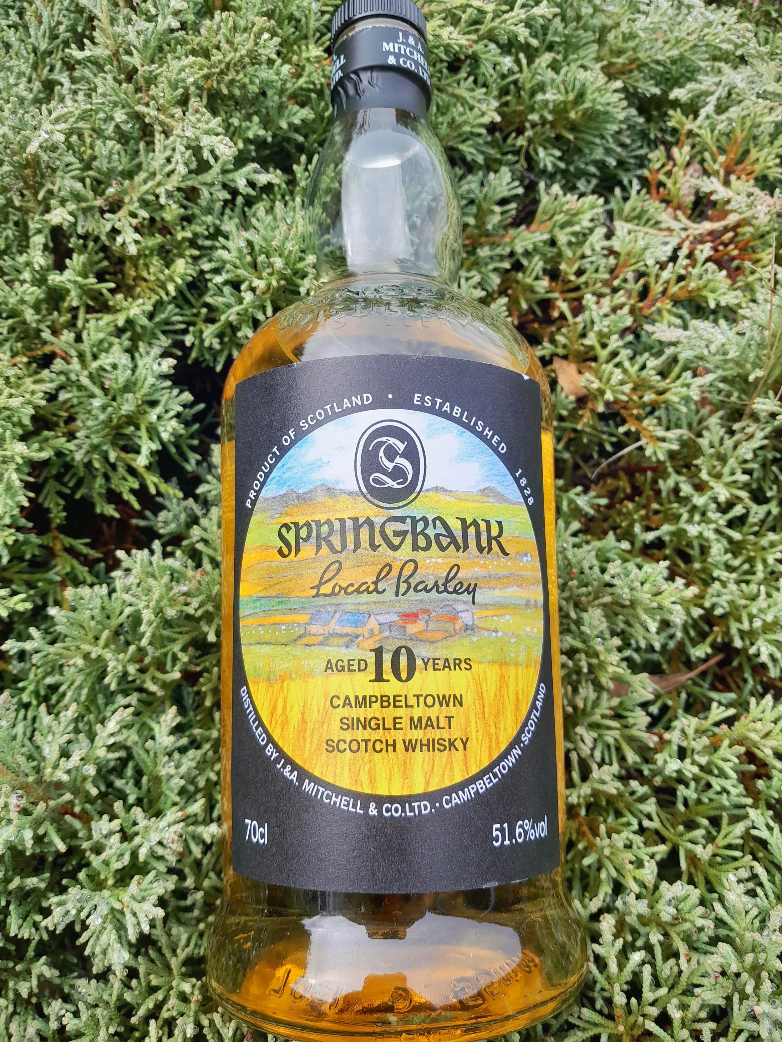 Springbank Local Barley 10yo 2011 — Dramface